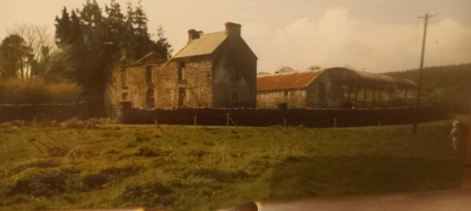 Bealkelly Country House Killaloe Dış mekan fotoğraf