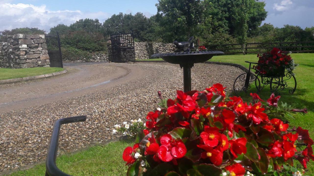 Bealkelly Country House Killaloe Dış mekan fotoğraf
