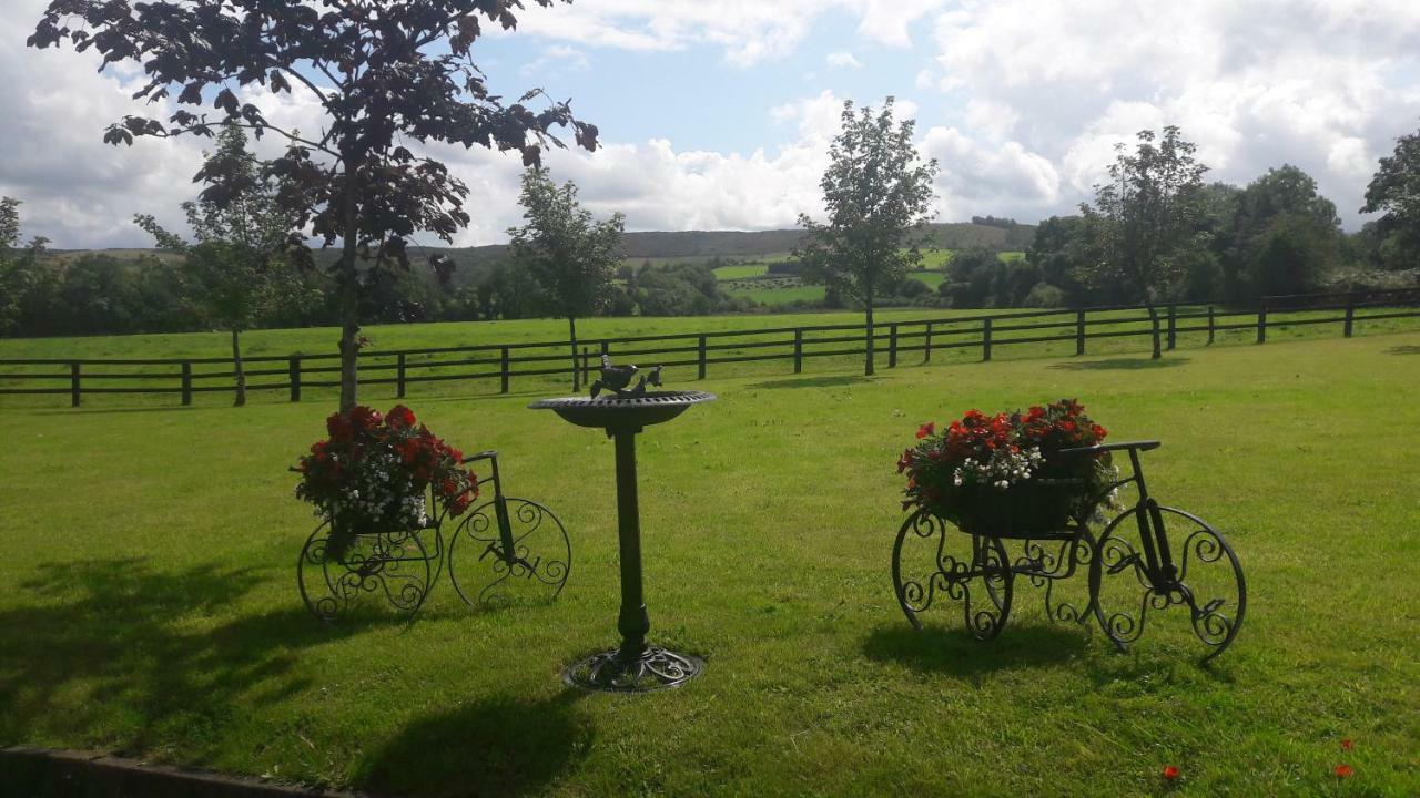 Bealkelly Country House Killaloe Dış mekan fotoğraf